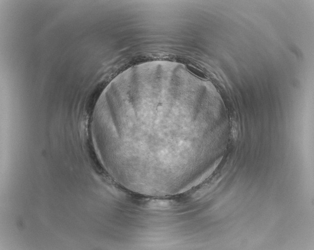 X0000115030332200911161512