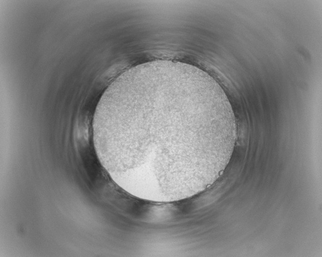 X0000115030334200911161512