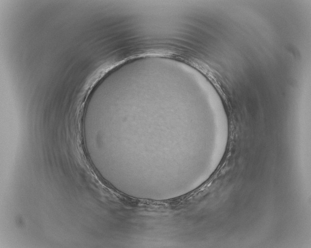 X0000115030337200911161511