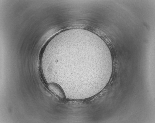 X0000115030338200911161511