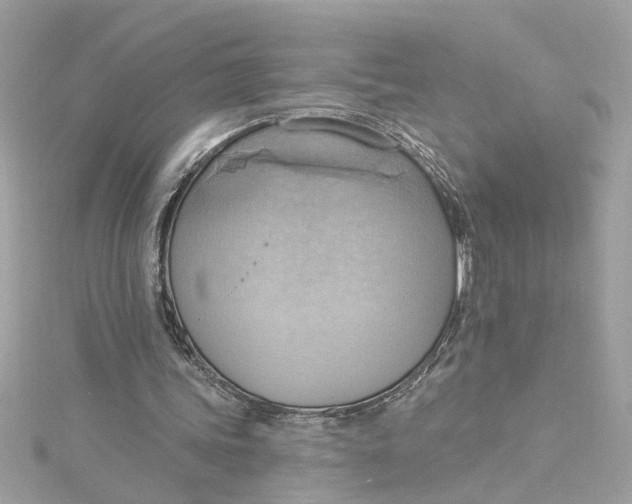 X0000115030339200911161511