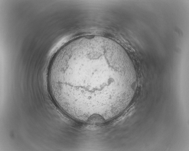 X0000115030341200911161511