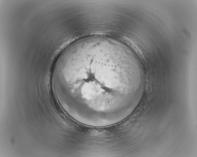 X0000115030346200911161511