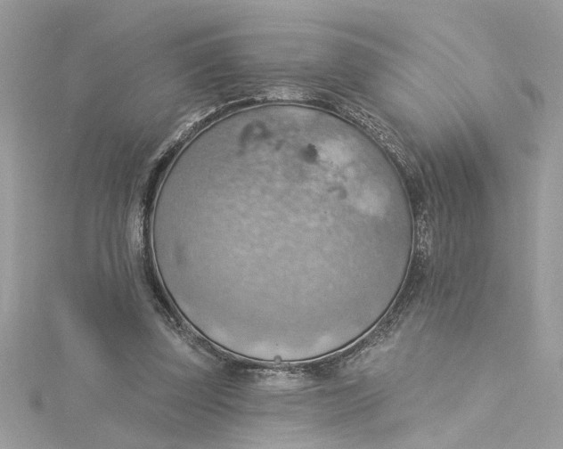 X0000115030347200911161511