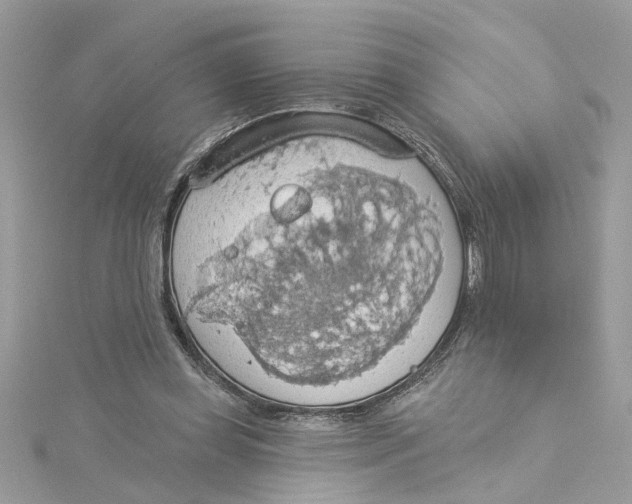 X0000115030349200911161511