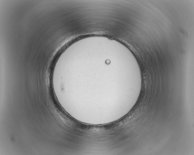 X0000115030350200911161511