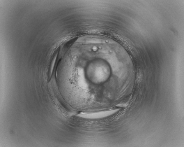 X0000115030353200911161511