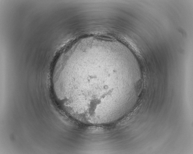 X0000115030354200911161511