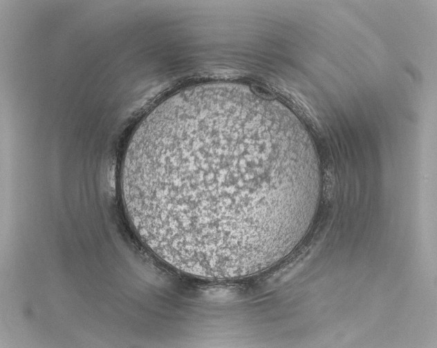 X0000115030358200911161511