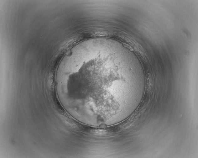 X0000115030361200911161511