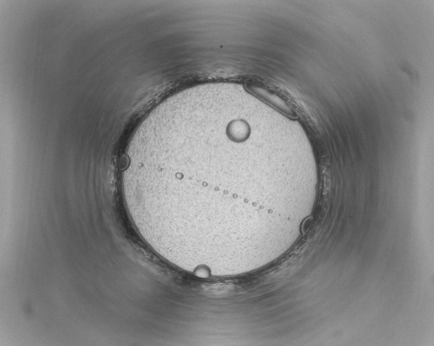 X0000115030362200911161511