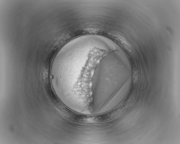 X0000115030365200911161511