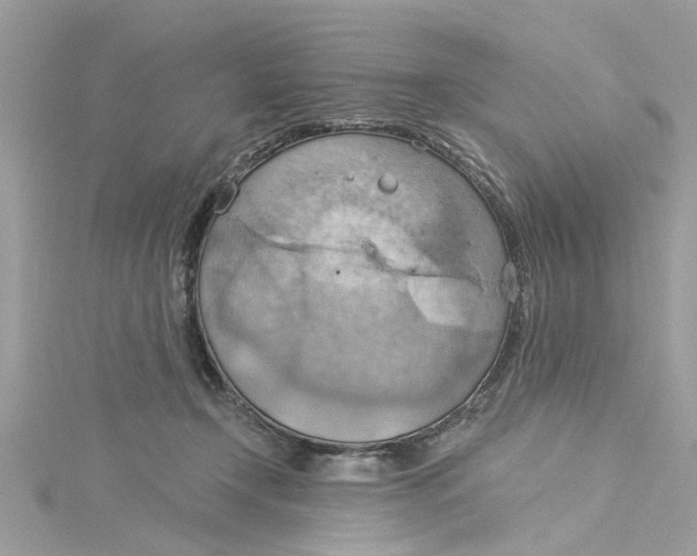 X0000115030366200911161511