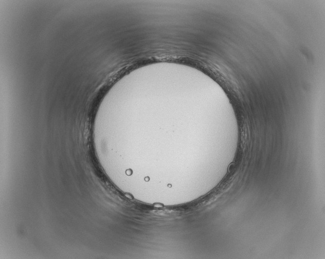 X0000115030367200911161511