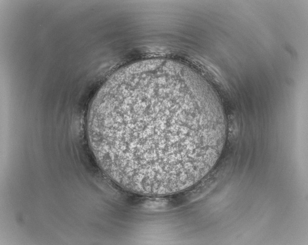 X0000115030369200911161511