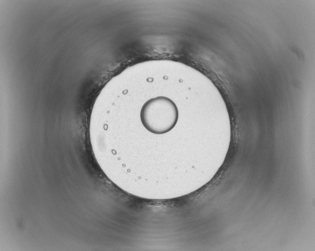 X0000115030370200911161511