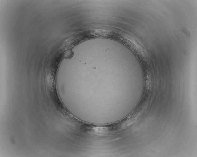 X0000115030371200911161512