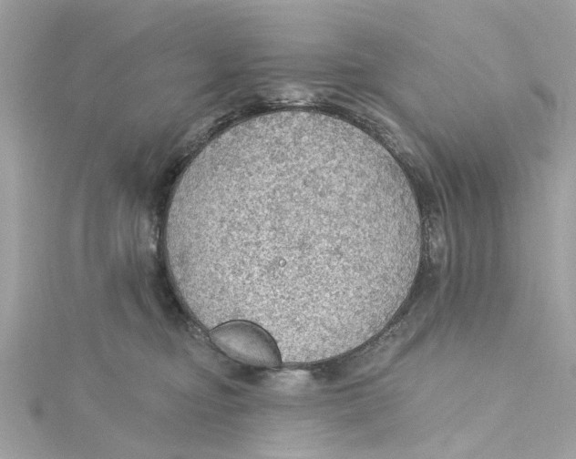 X0000115030374200911161512