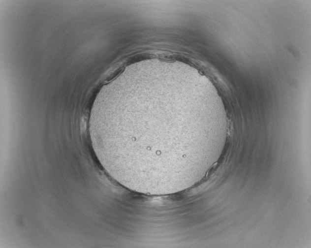 X0000115030382200911161512