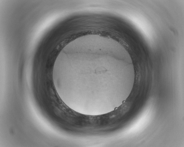 X0000115030383200911161512