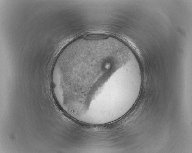 X0000115030385200911161511