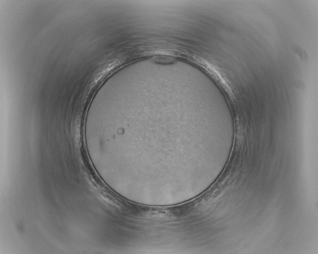 X0000115030386200911161511