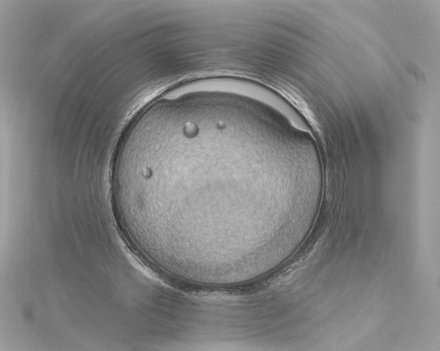 X0000115030389200911161511