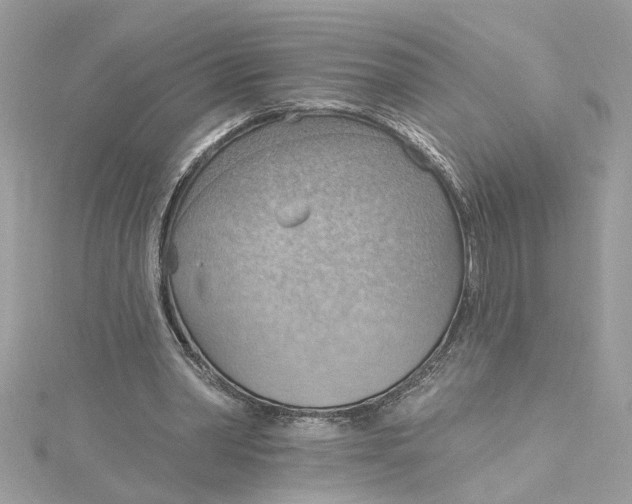 X0000115030390200911161511