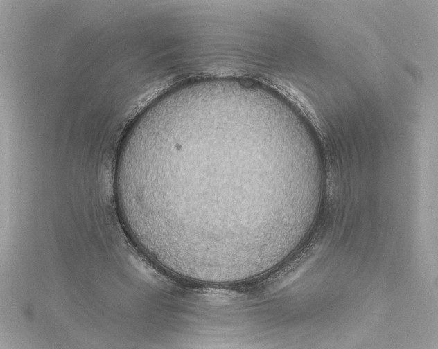 X0000115030393200911161511