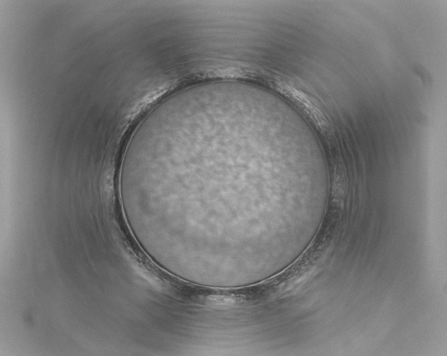 X0000115030394200911161511