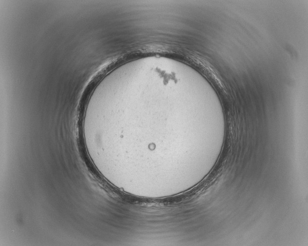 X0000115030395200911161511