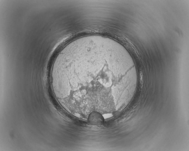 X0000115030396200911161511