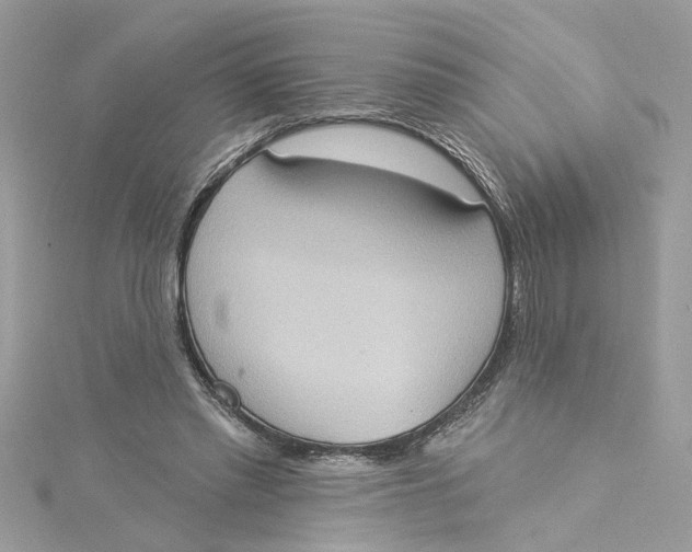 X0000115030397200911161511