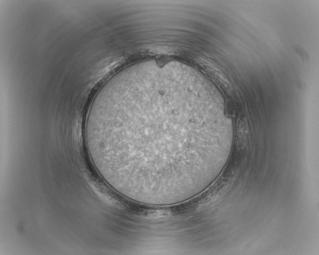 X0000115030398200911161511