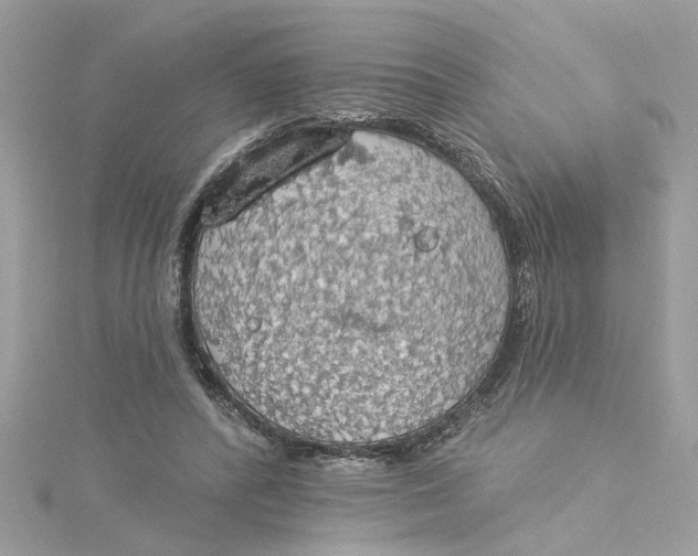 X0000115030400200911161511