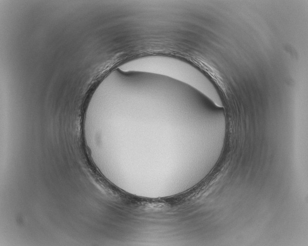 X0000115030401200911161511