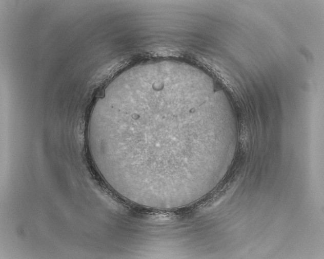 X0000115030402200911161511