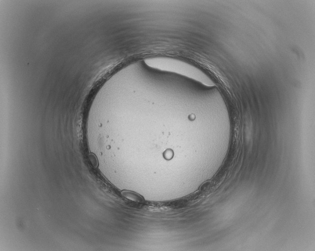 X0000115030403200911161511