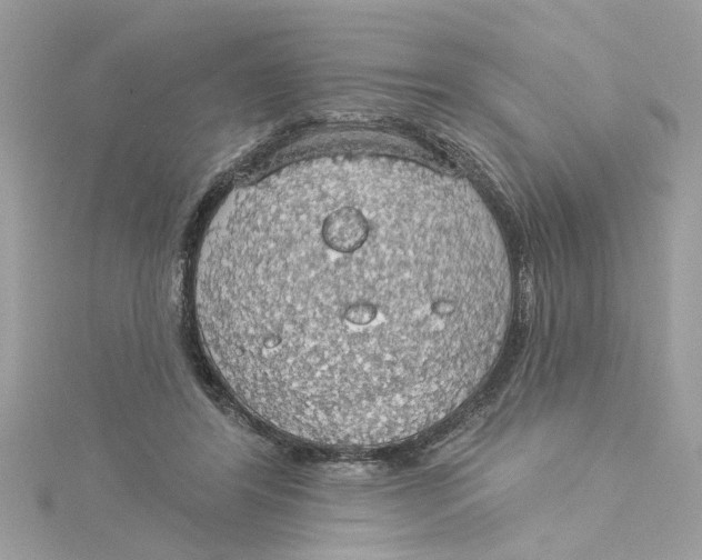 X0000115030404200911161511