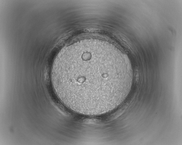 X0000115030408200911161511