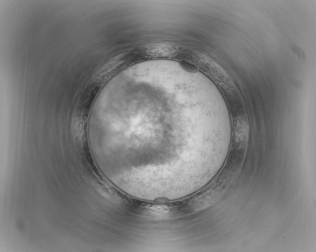 X0000115030409200911161511