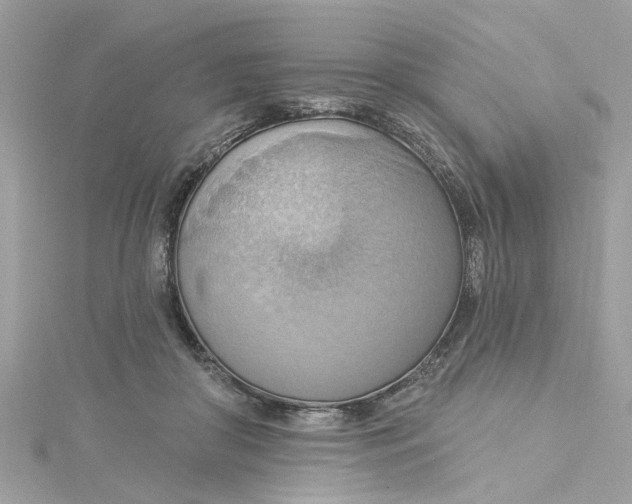 X0000115030410200911161511