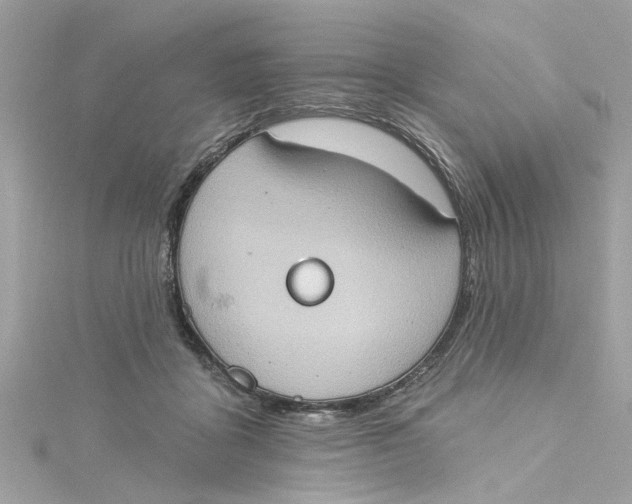 X0000115030411200911161511