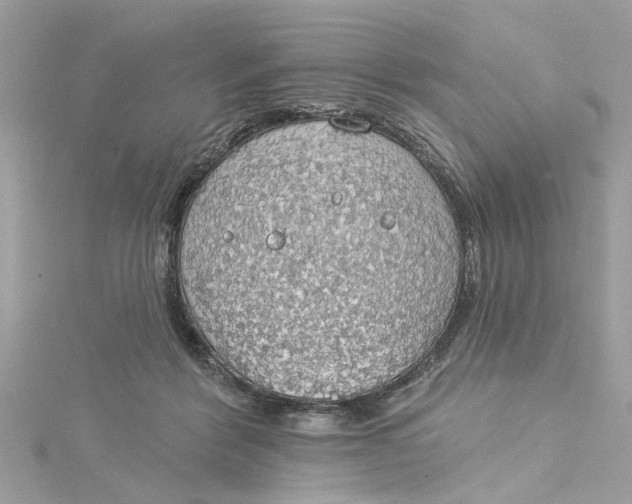 X0000115030412200911161511