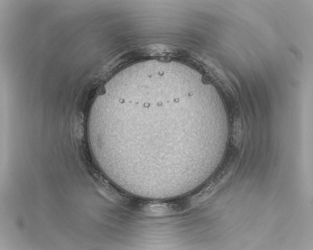 X0000115030413200911161511