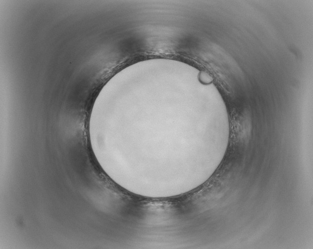 X0000115030415200911161511