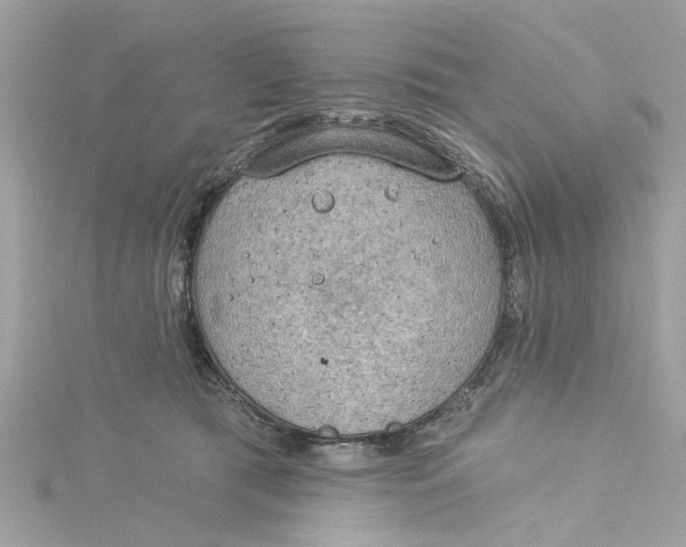 X0000115030417200911161511