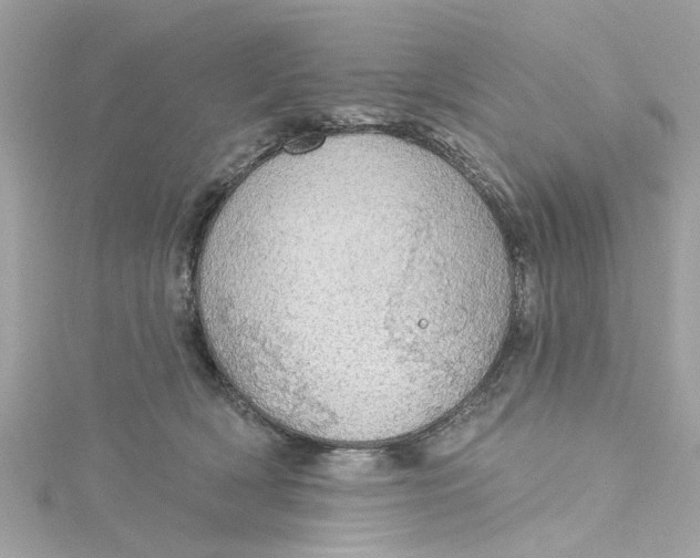 X0000115030418200911161511