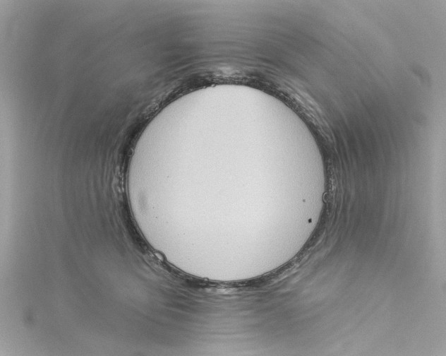 X0000115030419200911161511