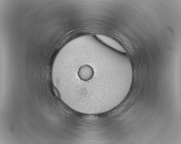 X0000115030421200911161510